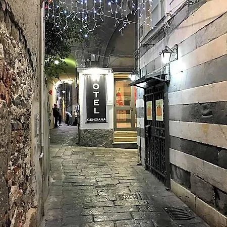 Genziana 2*